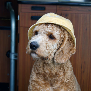 Yellow Bucket Hat